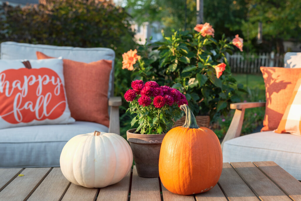 Backyard Decor